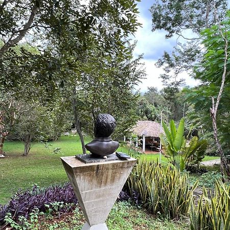 El Encanto Villas - Ecofriendly 20 min away from Chichén-Itzá Chichén Itzá Exterior foto