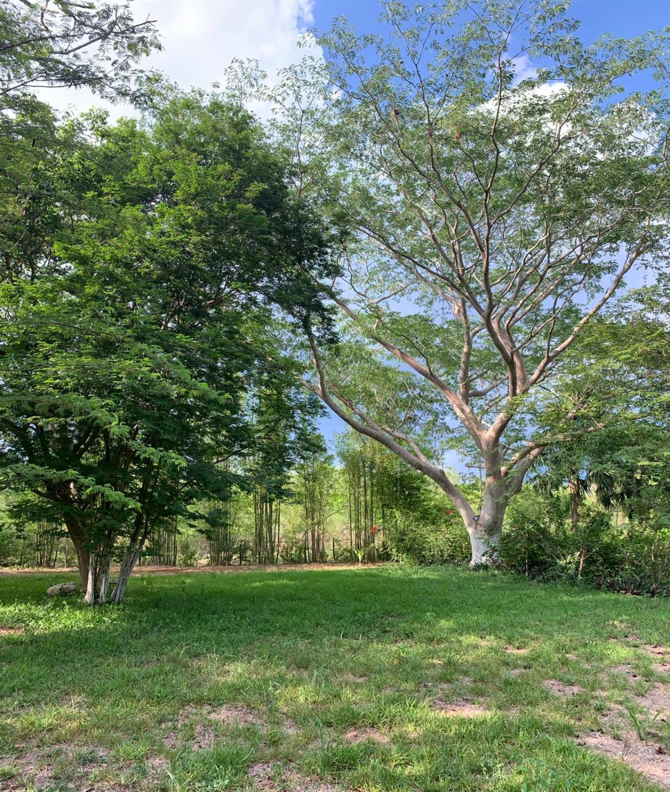 El Encanto Villas - Ecofriendly 20 min away from Chichén-Itzá Chichén Itzá Exterior foto